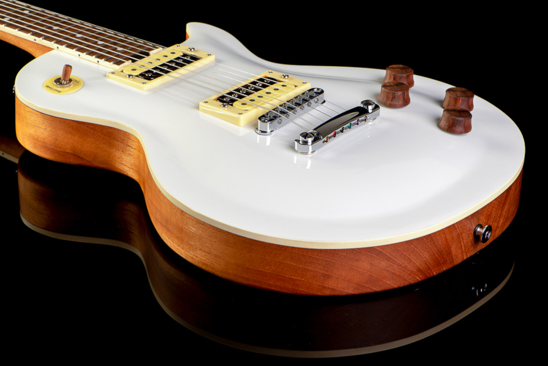 Modelo: Les Paul / Ano 2020 / Artista: Nando Andrade - TioGica