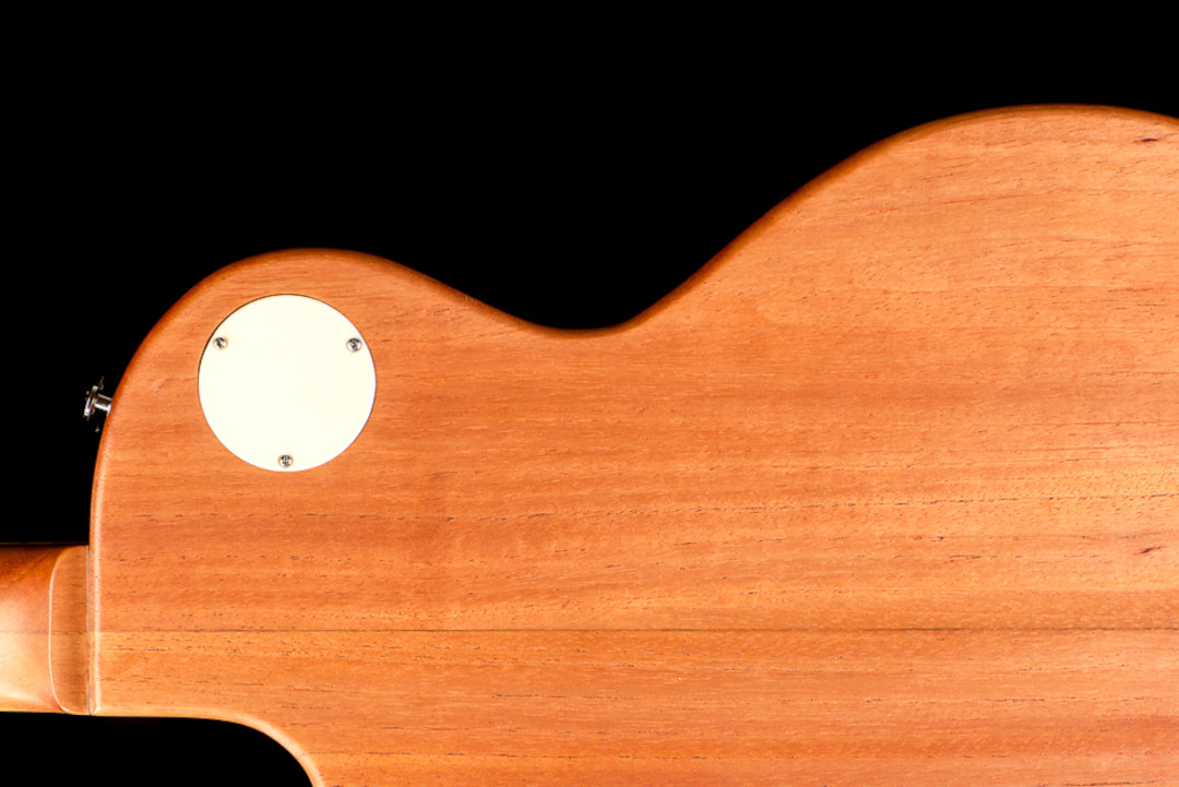Modelo: Les Paul / Ano 2020 / Artista: Nando Andrade - TioGica