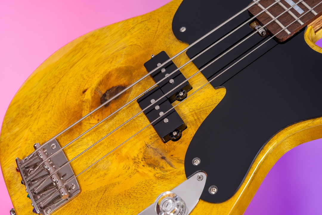 Modelo: P-Bass / Ano 2025 / Artista: Davi Motta