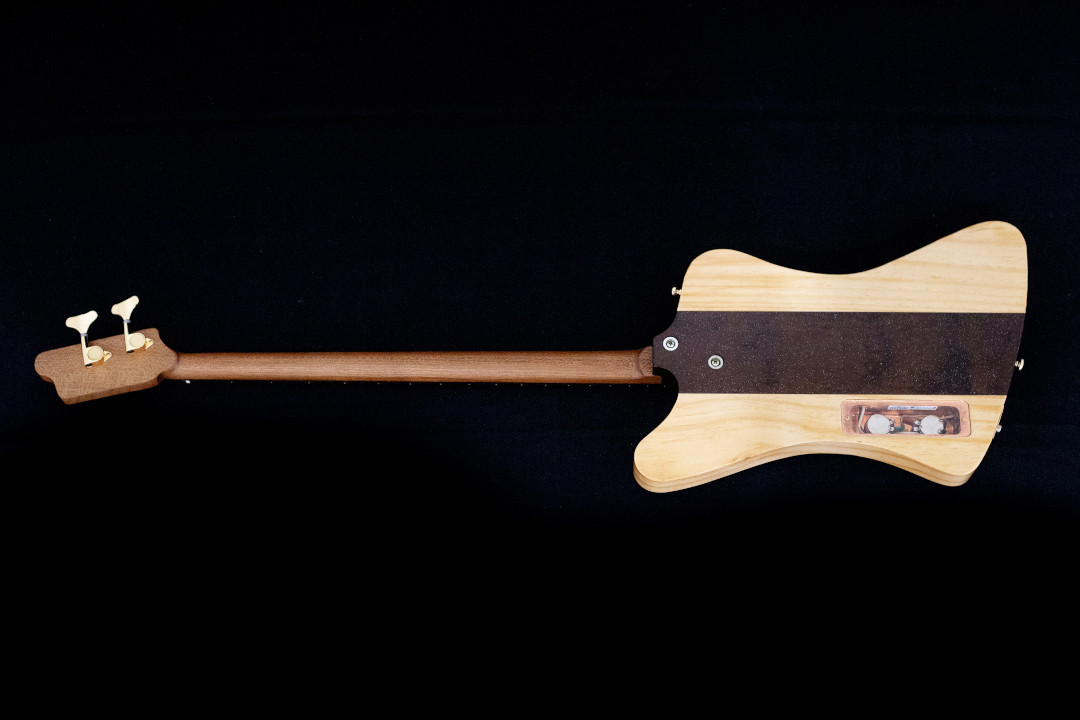 Modelo: T-Bird 2C / Ano 2025