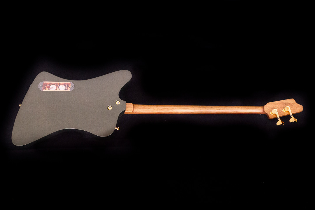 Modelo: T-Bird 2C / Ano 2025 / Artista: Tofer Brown