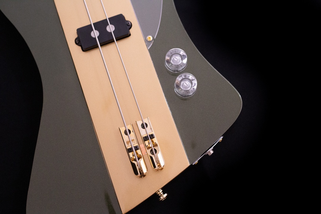 Modelo: T-Bird 2C / Ano 2025 / Artista: Tofer Brown