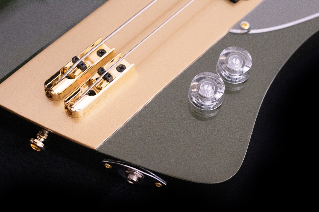 Modelo: T-Bird 2C / Ano 2025 / Artista: Tofer Brown