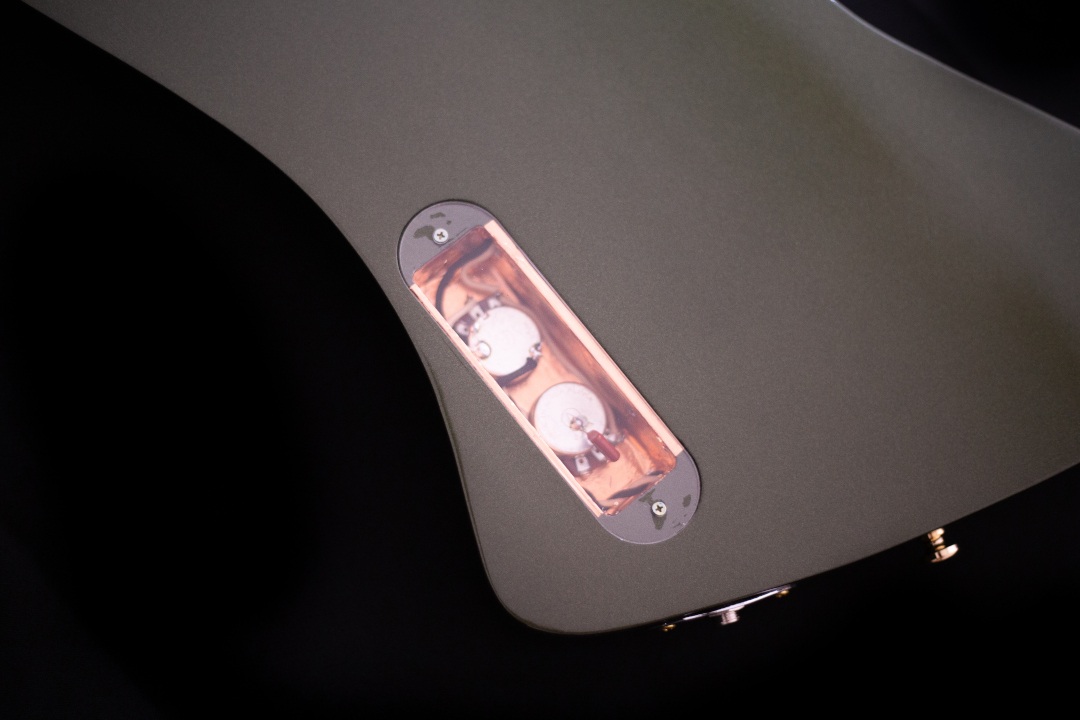 Modelo: T-Bird 2C / Ano 2025 / Artista: Tofer Brown