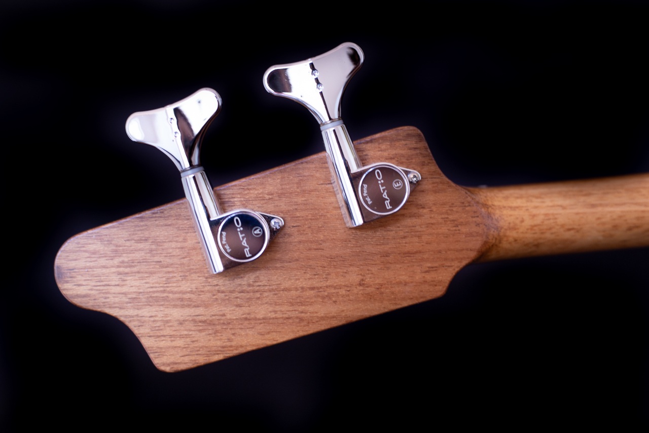 Modelo: P-Bass 2C / Ano 2025 / Artista: Buddy Cannon