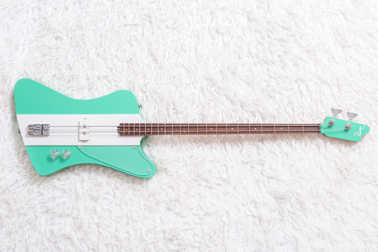 Modelo: T-Bird 2C / Ano 2025 / Artista: Alex Banarer