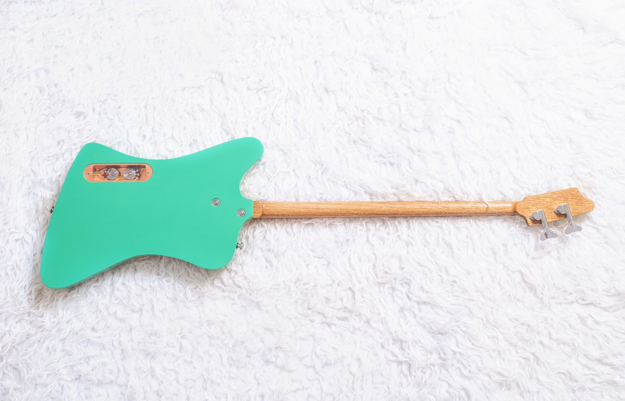 Modelo: T-Bird 2C / Ano 2025 / Artista: Alex Banarer