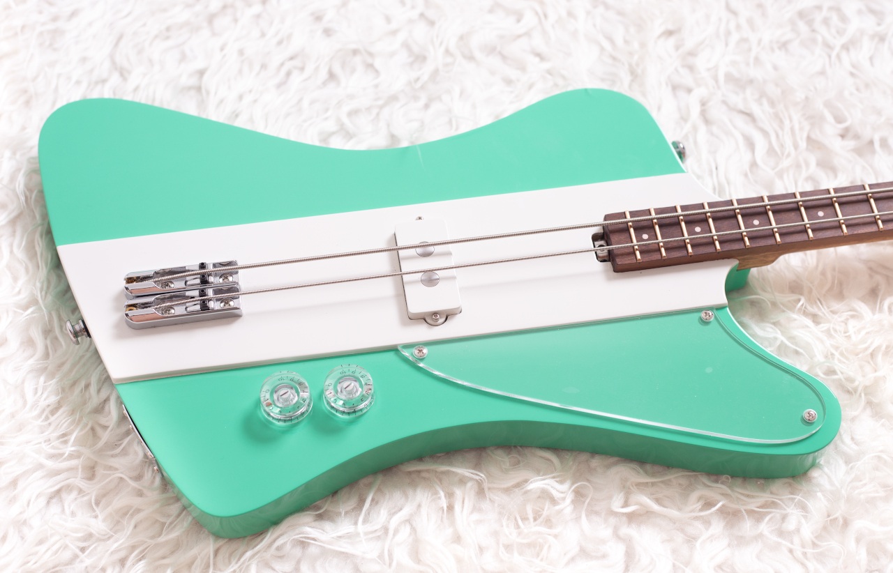 Modelo: T-Bird 2C / Ano 2025 / Artista: Alex Banarer