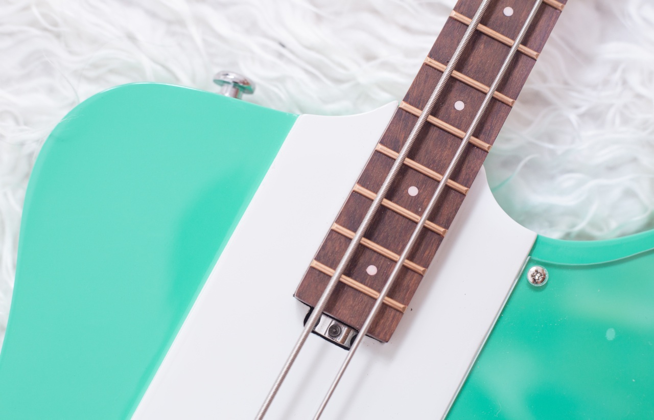 Modelo: T-Bird 2C / Ano 2025 / Artista: Alex Banarer