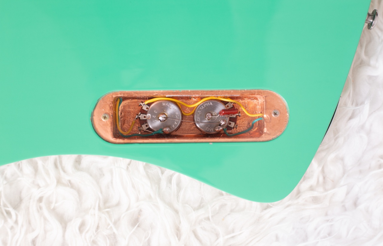 Modelo: T-Bird 2C / Ano 2025 / Artista: Alex Banarer