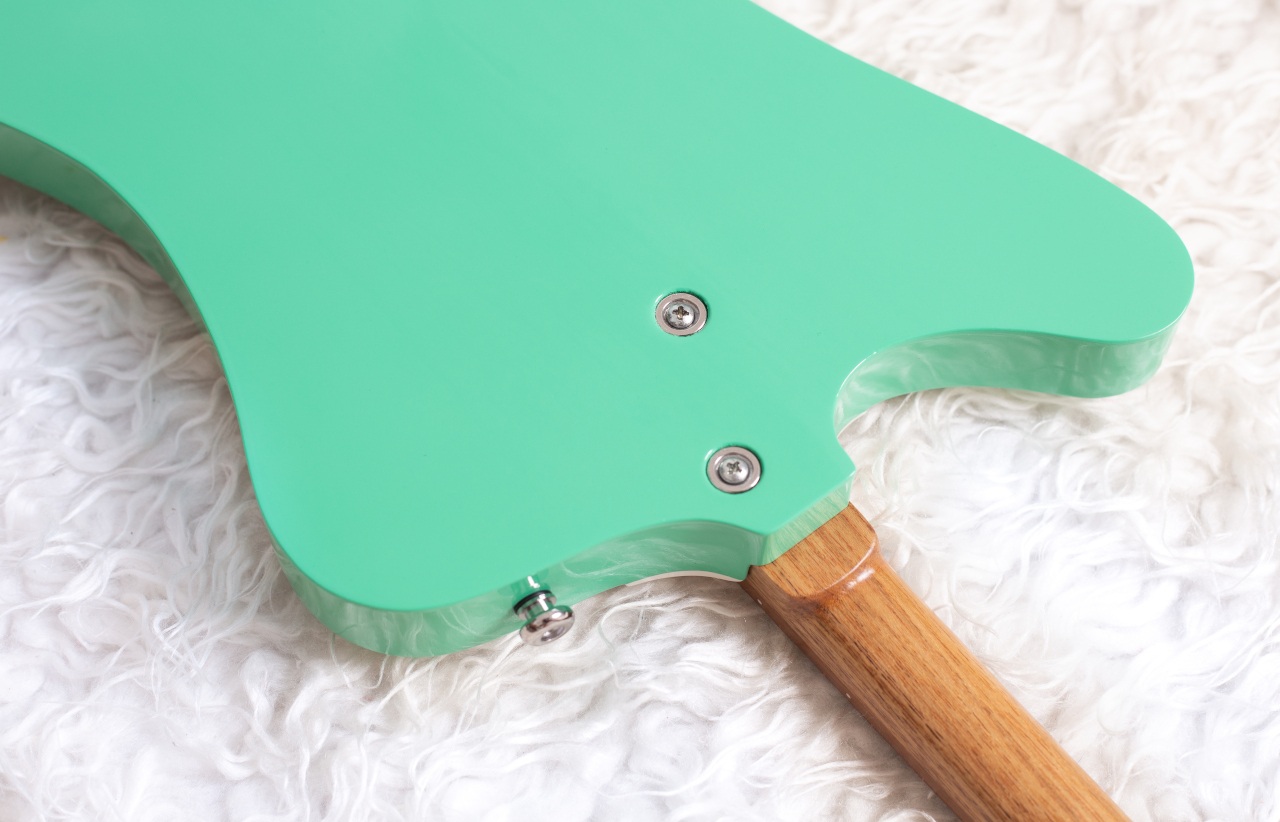 Modelo: T-Bird 2C / Ano 2025 / Artista: Alex Banarer