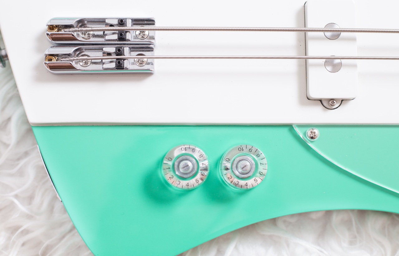 Modelo: T-Bird 2C / Ano 2025 / Artista: Alex Banarer