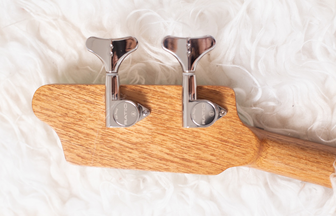 Modelo: T-Bird 2C / Ano 2025 / Artista: Alex Banarer