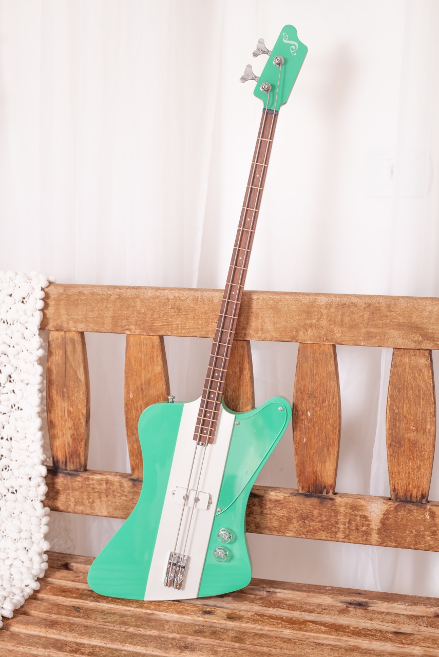 Modelo: T-Bird 2C / Ano 2025 / Artista: Alex Banarer